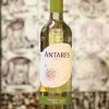 Antares Sauvignon Blanc 2019