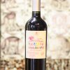 La Giostra del Vino Puercovin Puercoespin Malbec